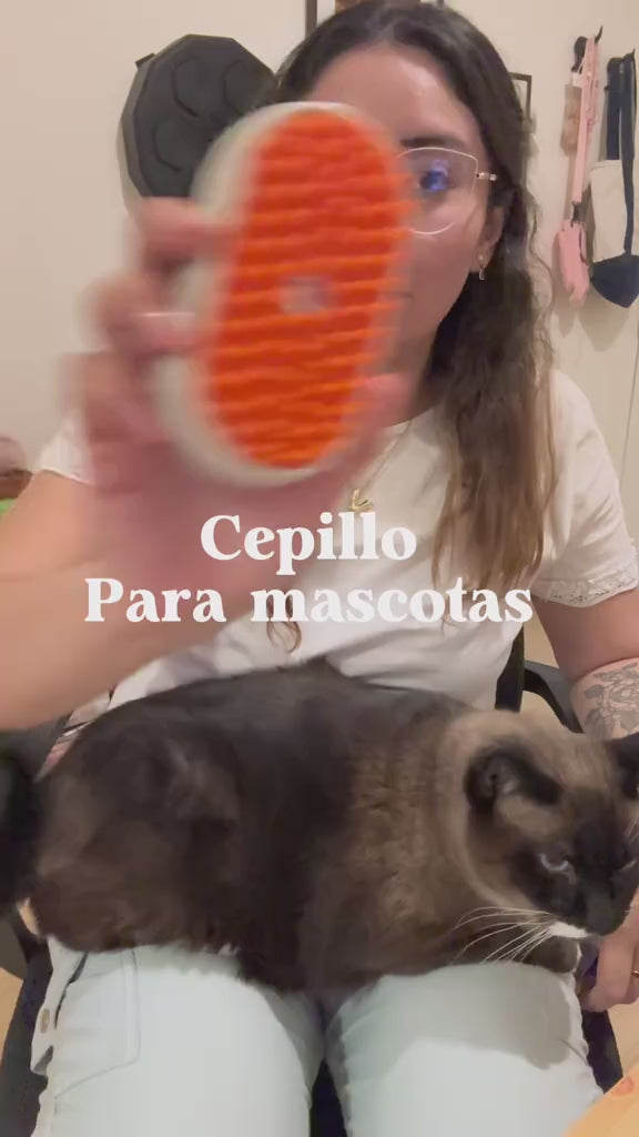 Cargar video: 